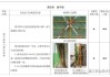 球友会官网- 菲尔特新球场建设延期，工程进度严重滞后  